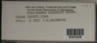 Image Associated With the Occurence